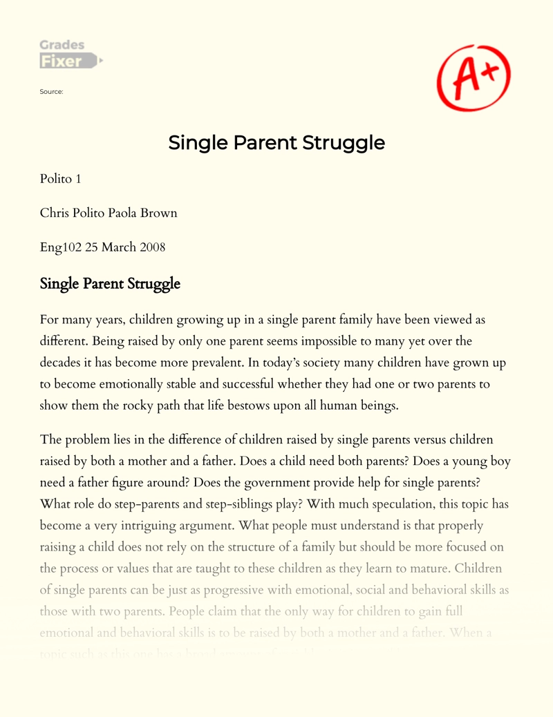 Single Parent Struggle essay