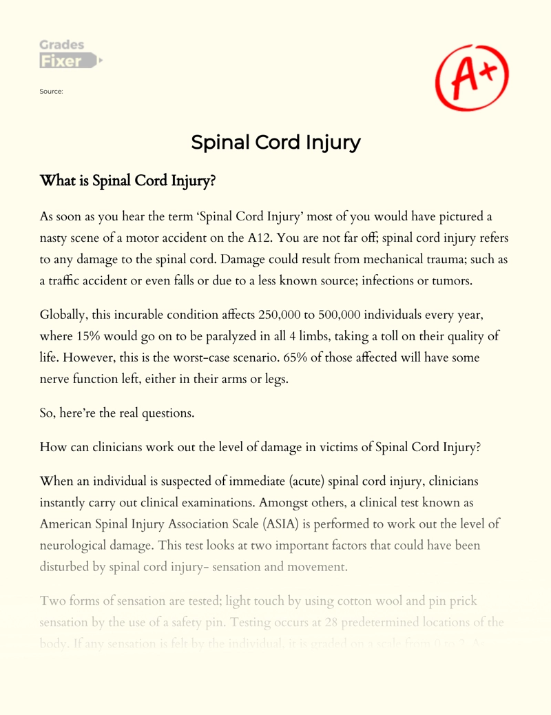 Spinal Cord Injury Essay