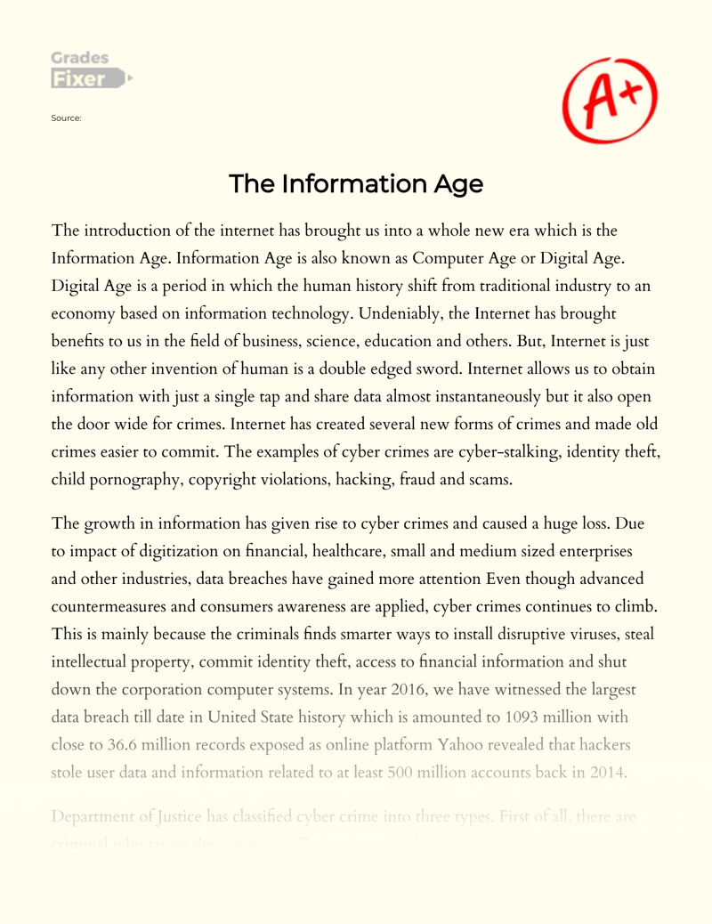 The Information Age and Cyber Crimes essay