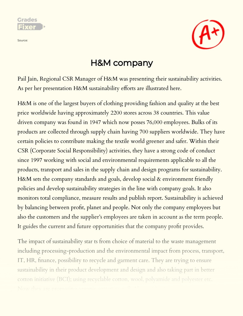 H&m Company Essay