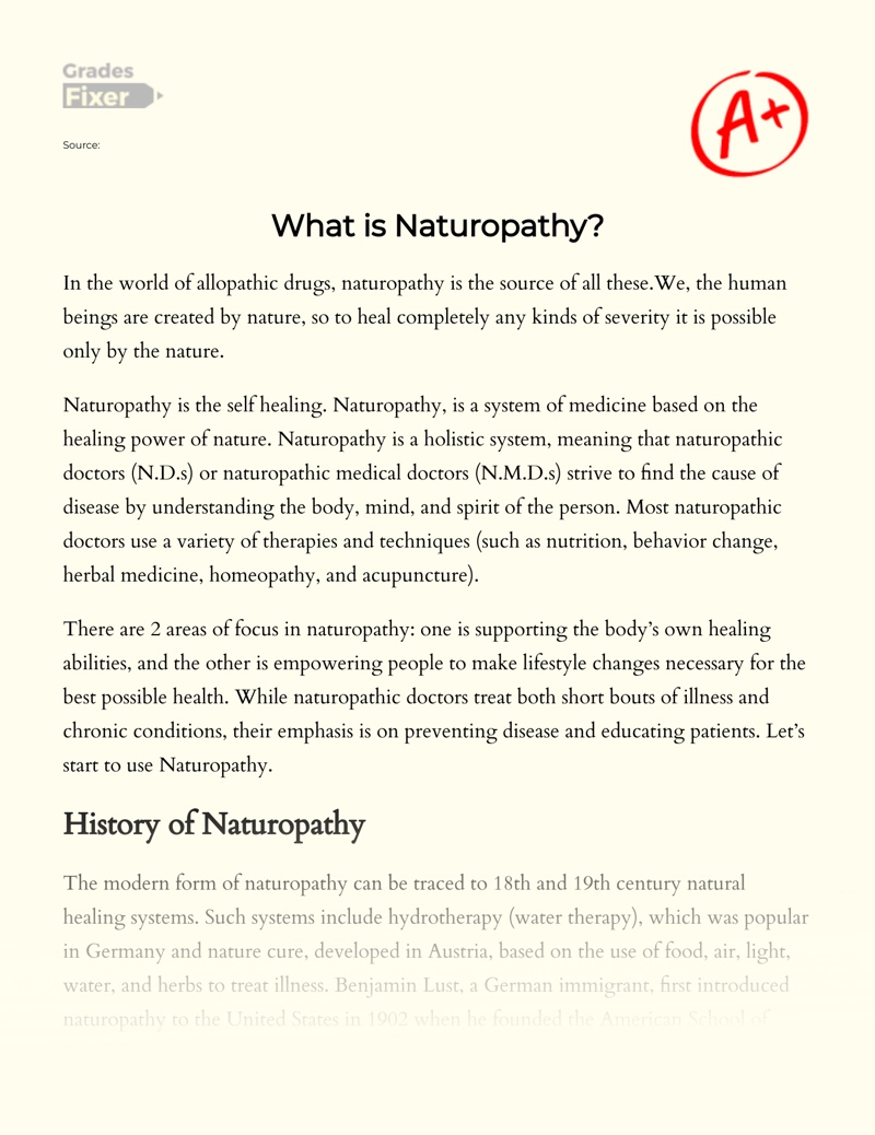 What is Naturopathy Essay