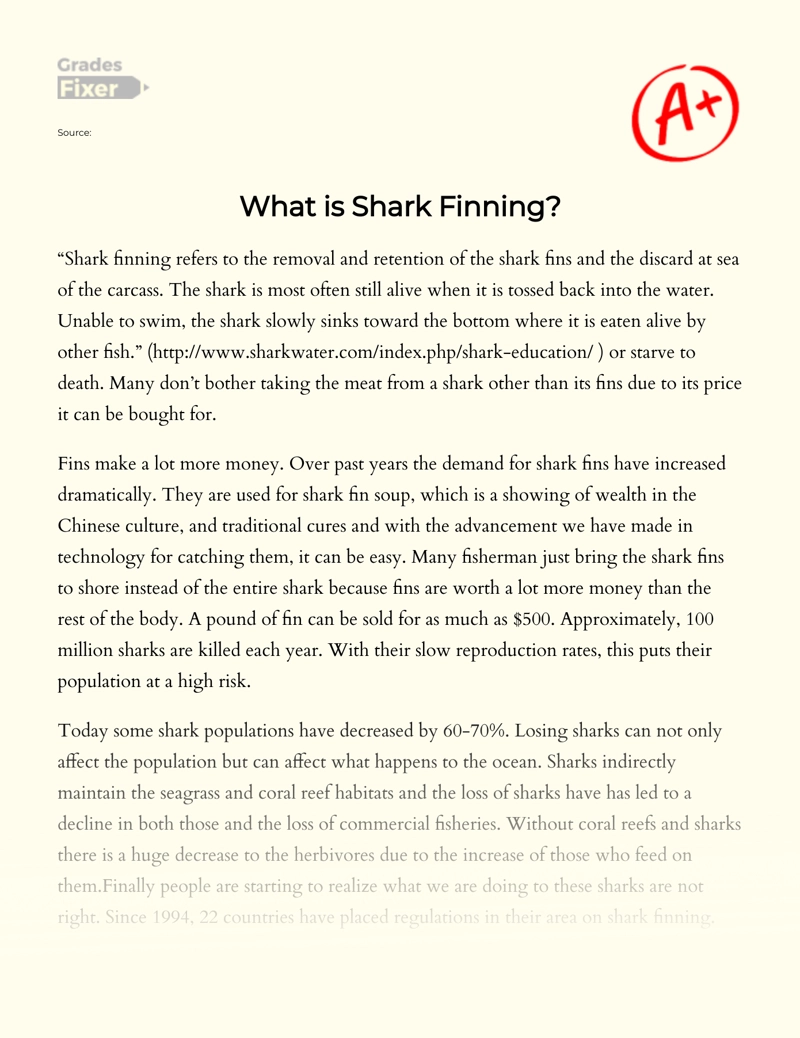 What is Shark Finning Essay