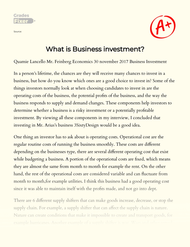 What is Business Investment Essay
