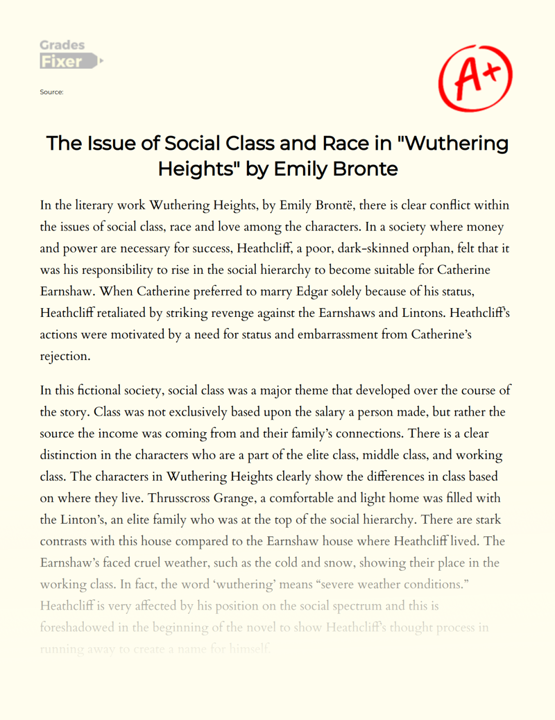 The Issue of Social Class and Race in "Wuthering Heights" by Emily Bronte Essay