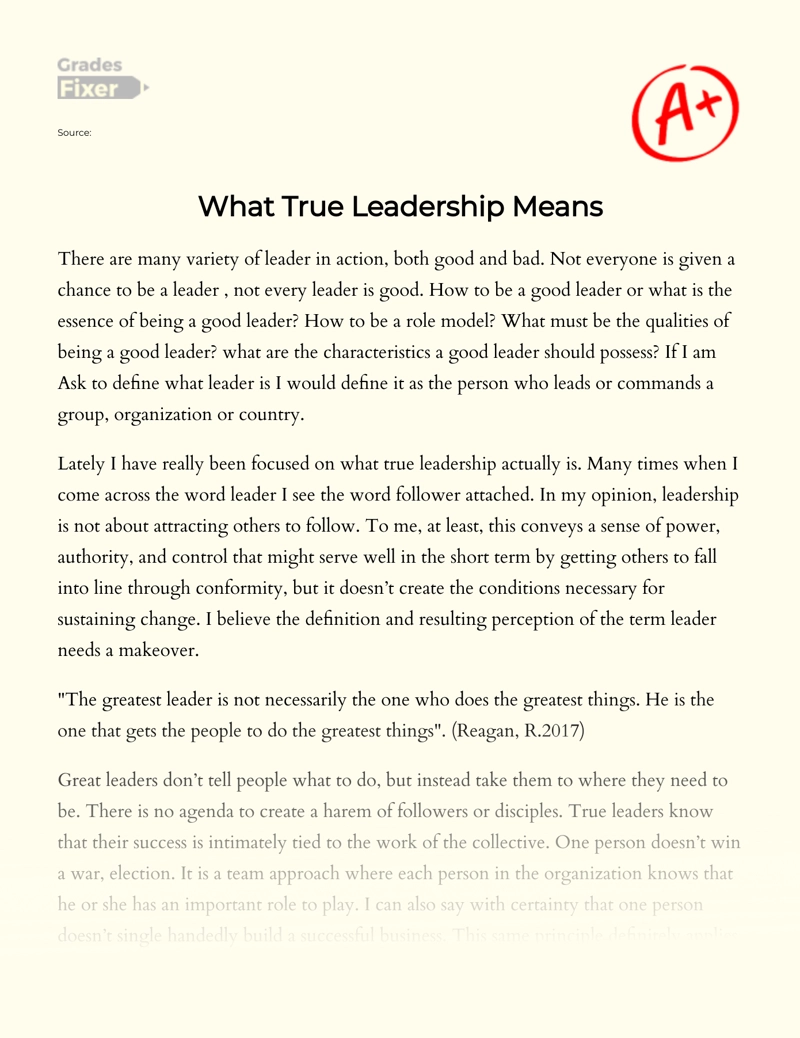 What Does It Mean to Be a Leader: Essay on What Leadership Means to Me essay