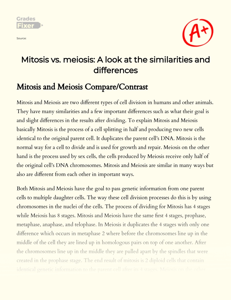 Mitosis Vs. Meiosis: a Look at The Similarities and Differences Essay