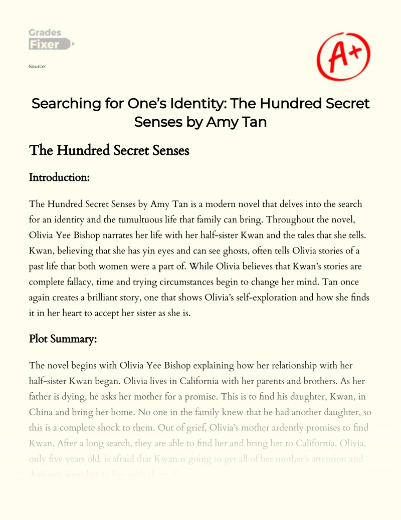 Searching for One’s Identity: The Hundred Secret Senses by Amy Tan Essay