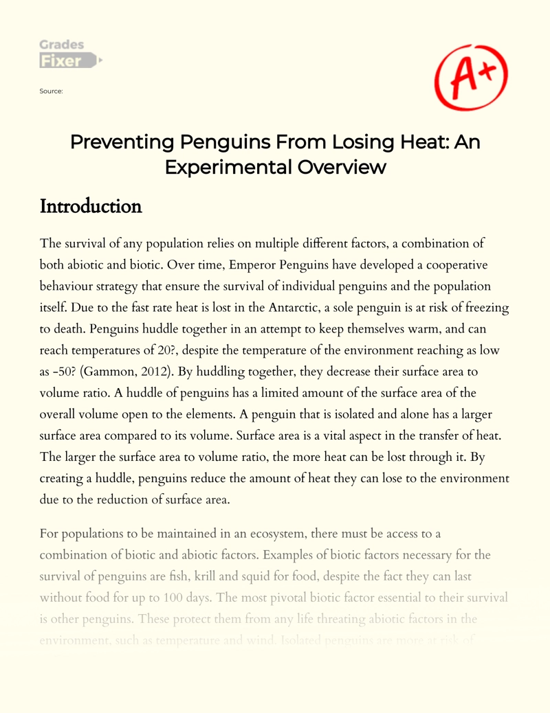 Preventing Penguins from Losing Heat: an Experimental Overview Essay