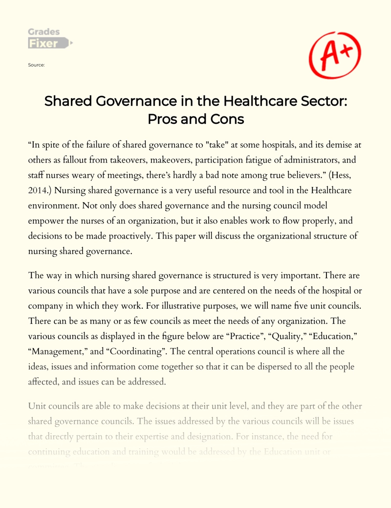 Shared Governance in The Healthcare Sector: Pros and Cons essay