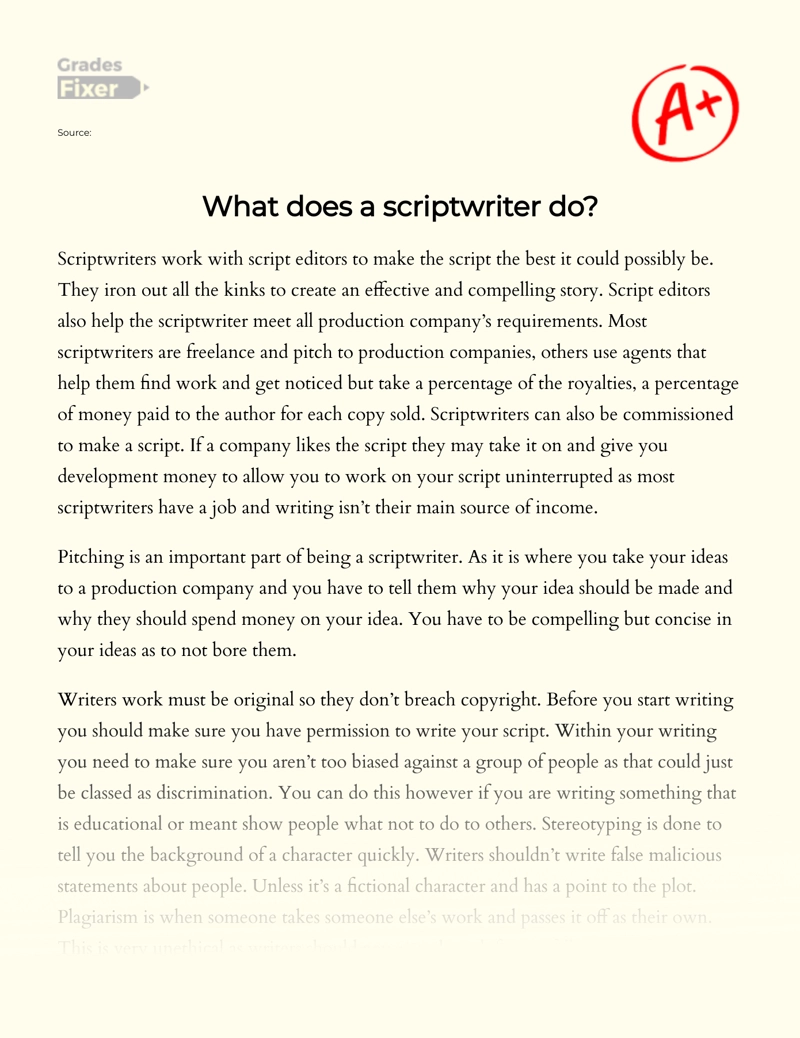 Review of The Scriptwriter Profession Features  Essay