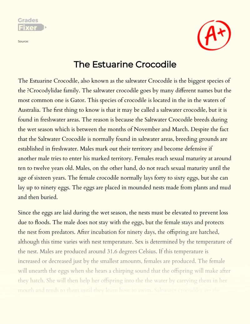 The Estuarine Crocodile Essay