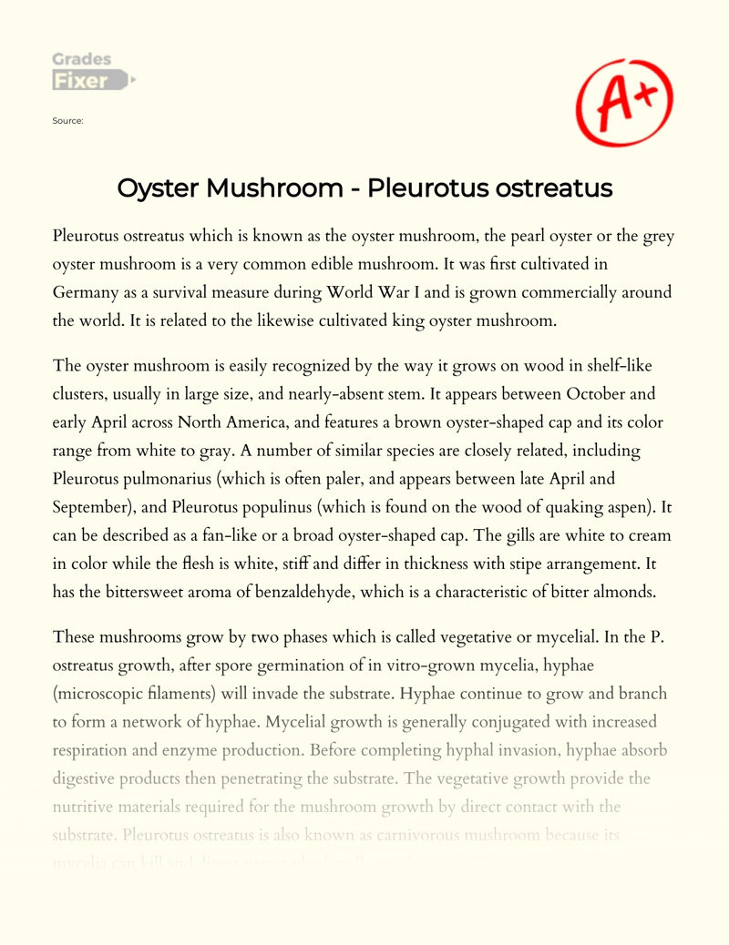 Oyster Mushroom - Pleurotus Ostreatus essay