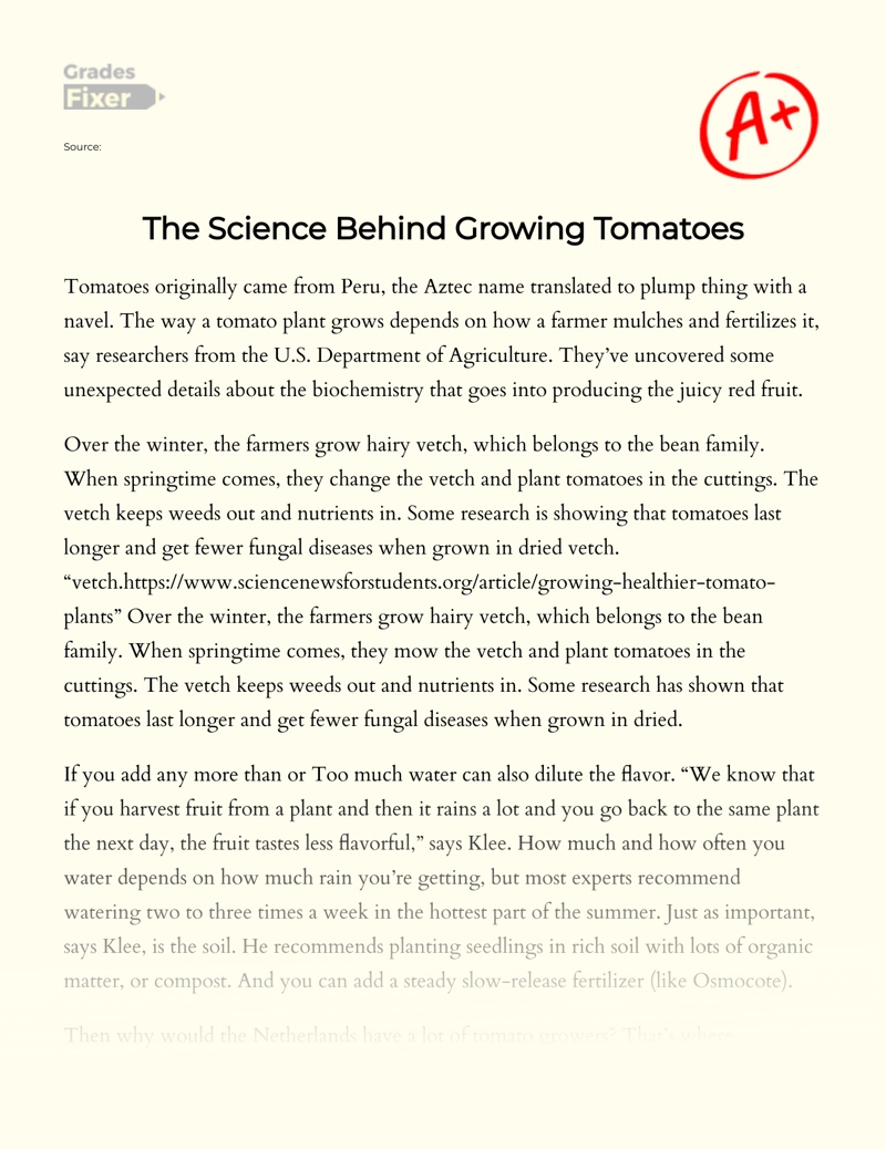 The Science Behind Growing Tomatoes Essay