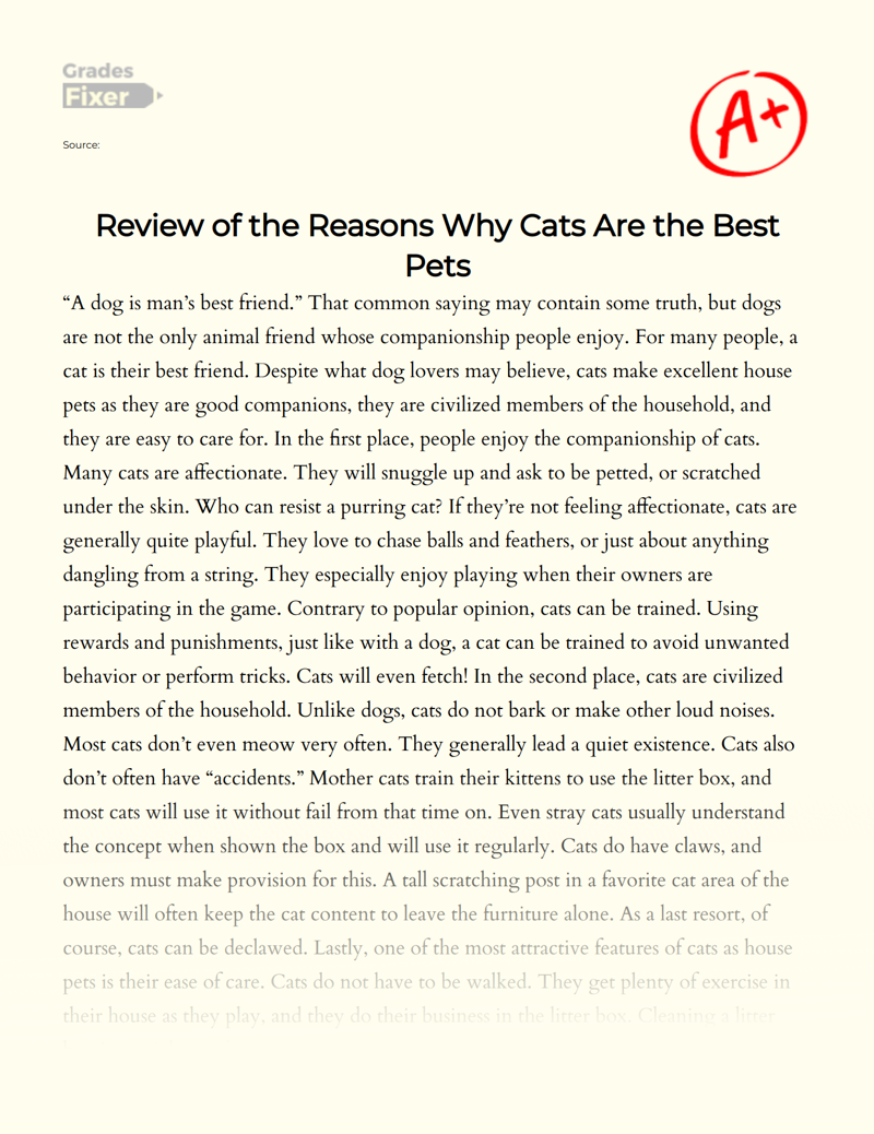 Review of The Reasons Why Cats Are The Best Pets Essay