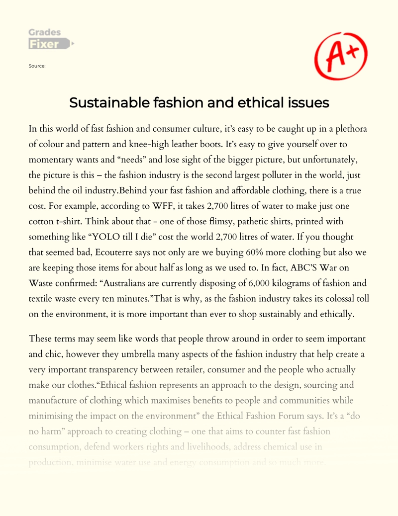 Sustainable Fashion and Ethical Issues Essay