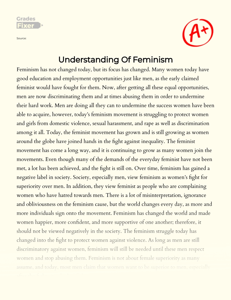 What Does Feminism Really Mean essay