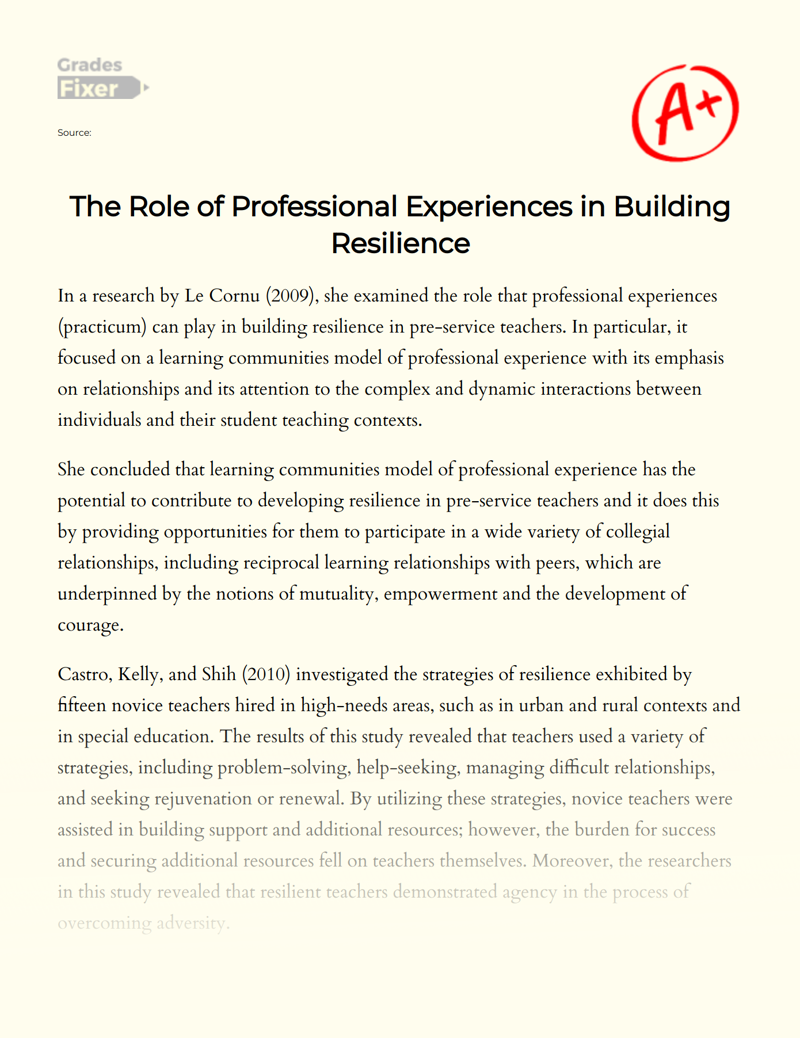 The Role of Professional Experiences in Building Resilience Essay
