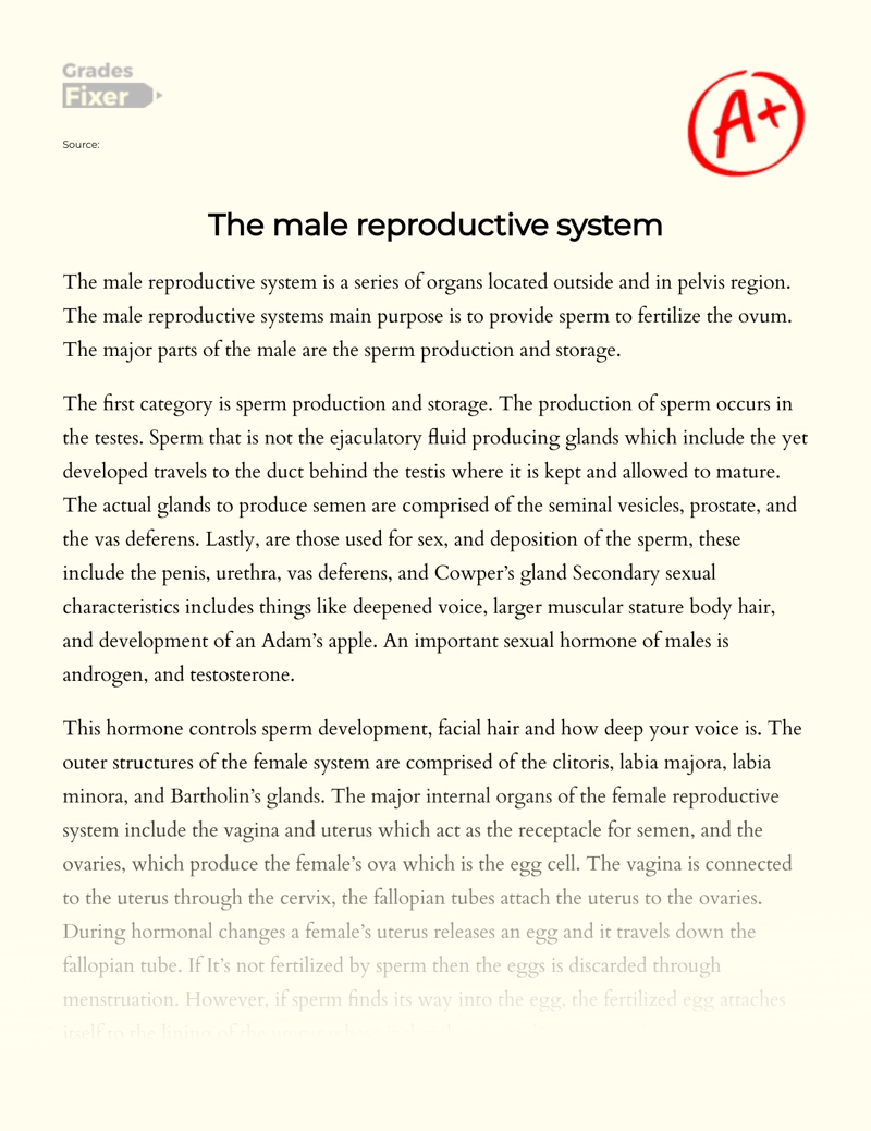 Male and Female Reproductive System: Functions and Diseases Essay