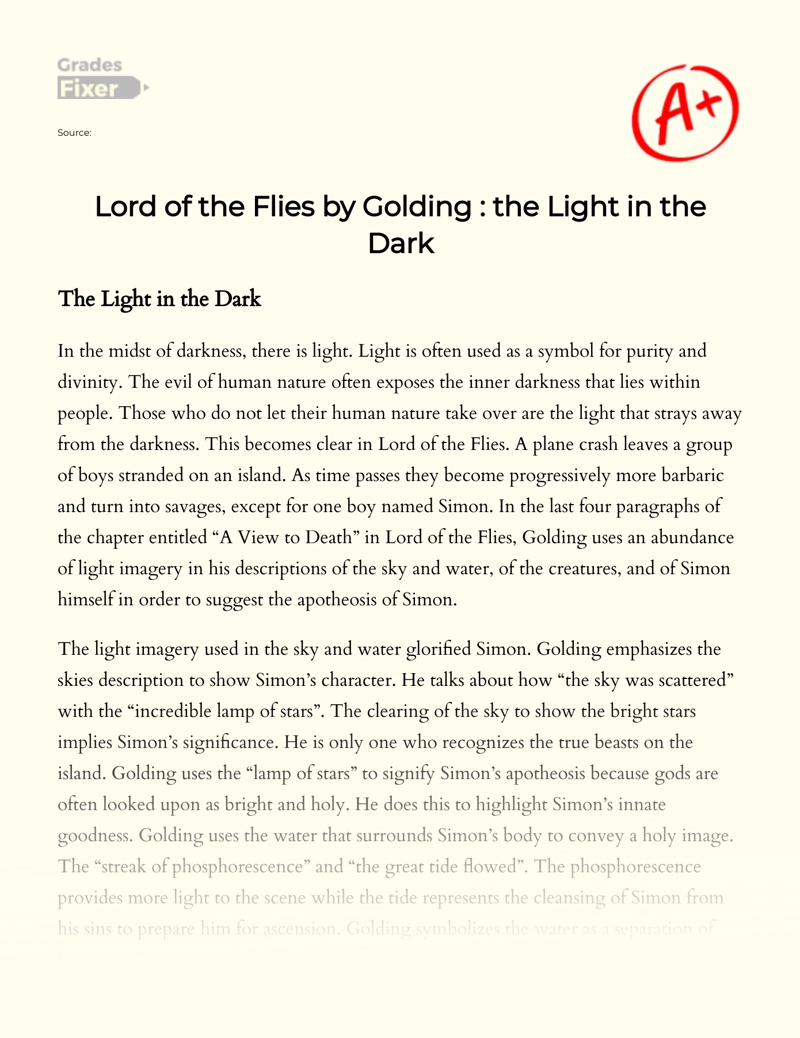 Lord of The Flies by Golding : The Light in The Dark essay