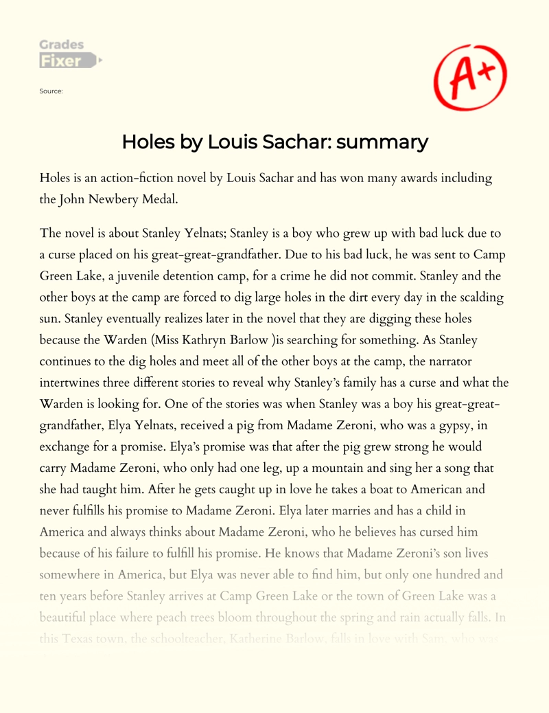 Holes by Louis Sachar: Study Guide - Mini Essays Study Guide for