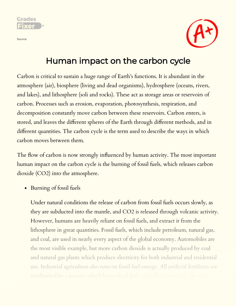 Human Impact on The Carbon Cycle essay
