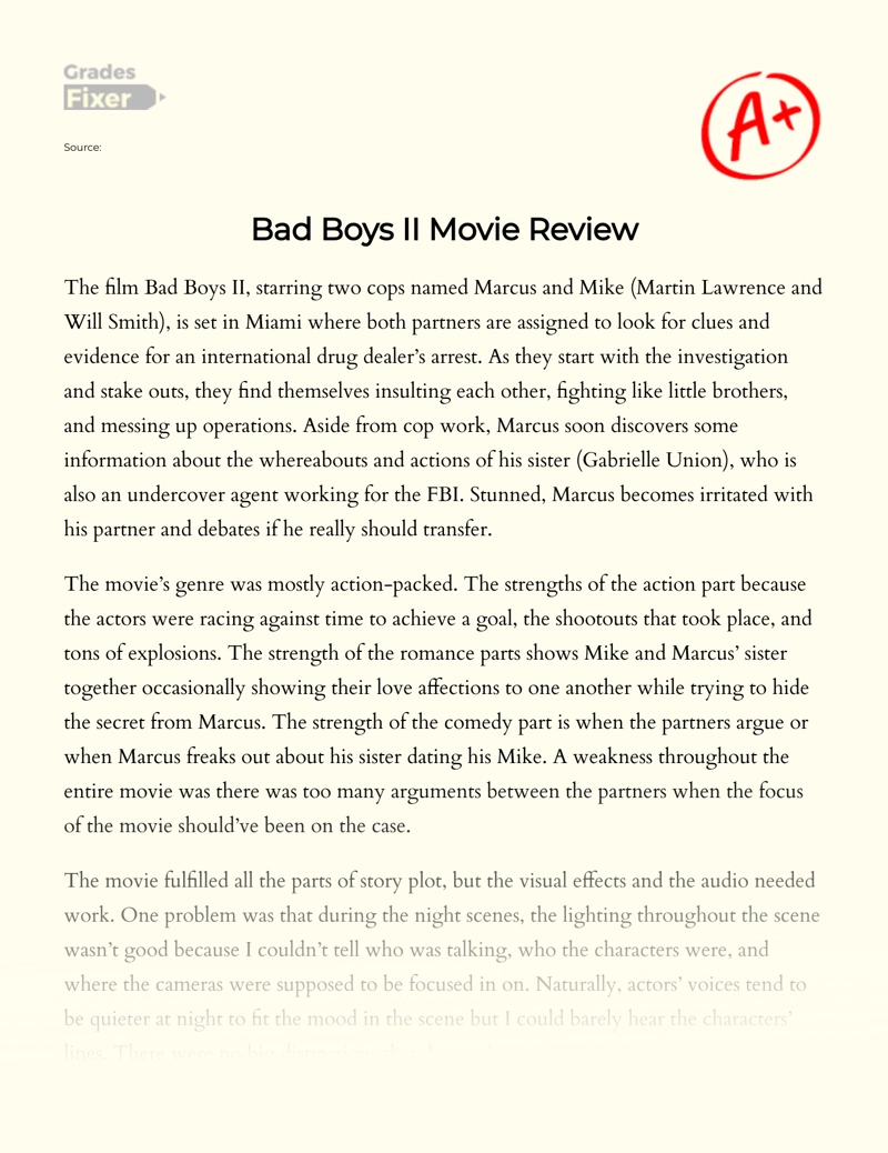Analysis of The Film "Bad Boys Ii" by Michael Bay Essay