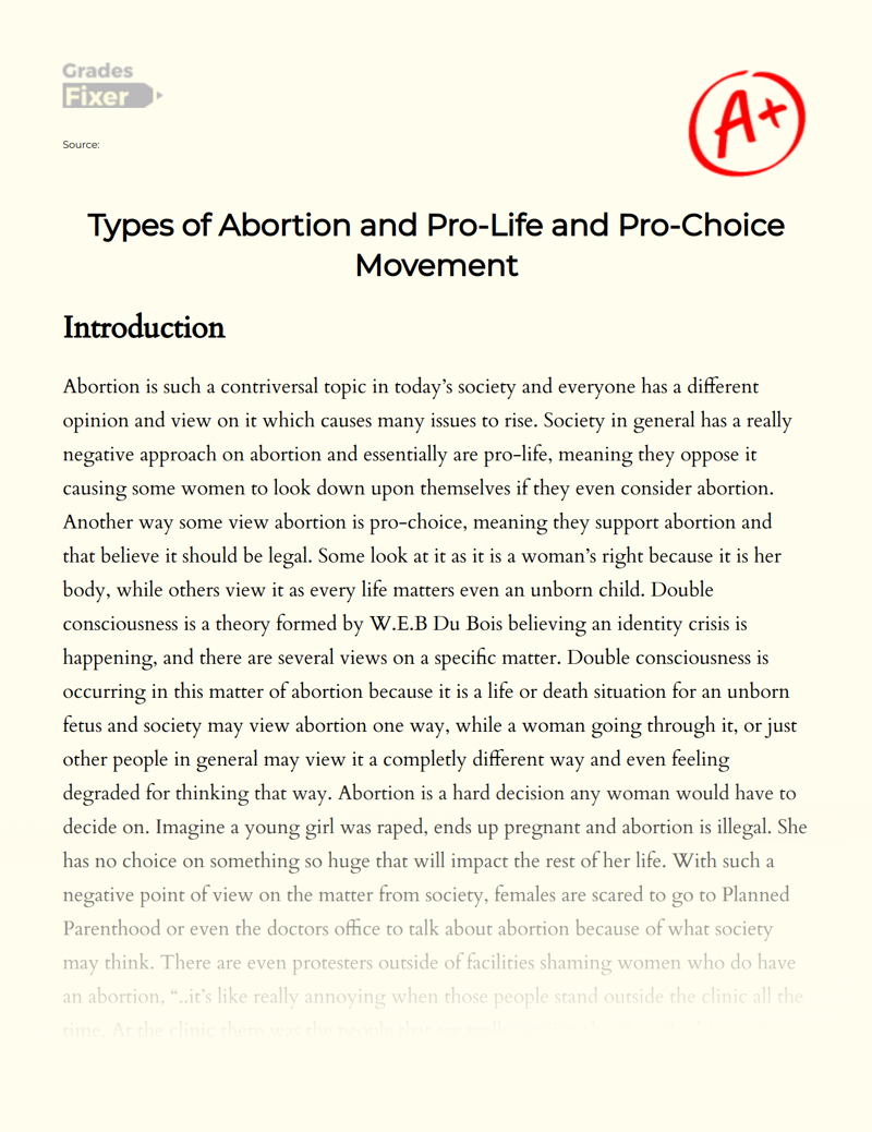 Woman Vs Society: Pro Life and Pro Choice Views on Abortion Essay