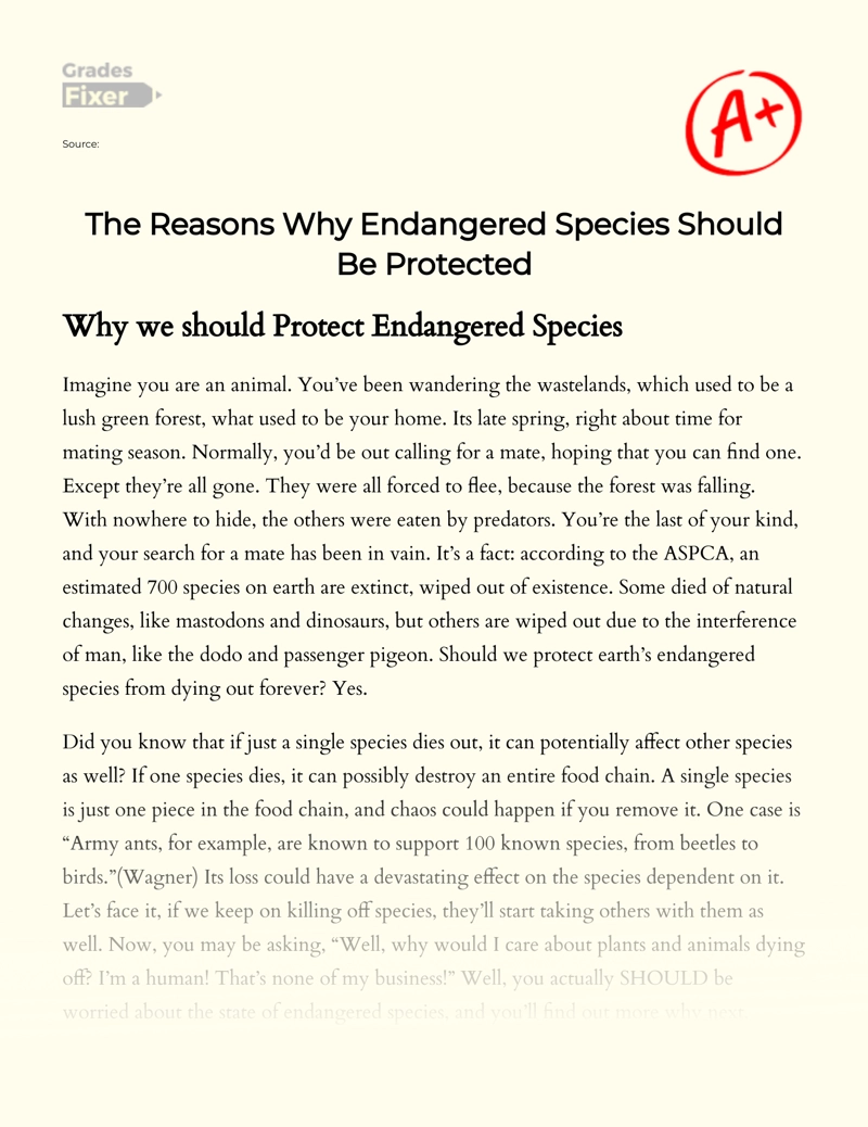 Circle of Life: Why Should We Protect Endangered Species: [Essay Example],  959 words GradesFixer