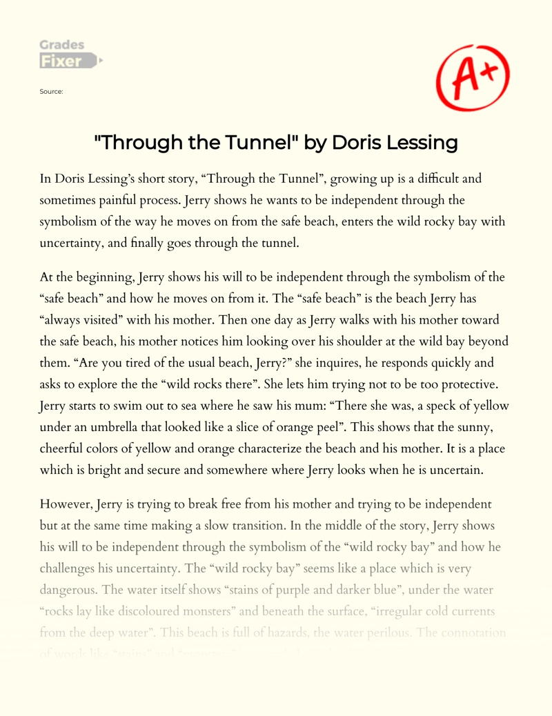 "Through The Tunnel" by Doris Lessing essay