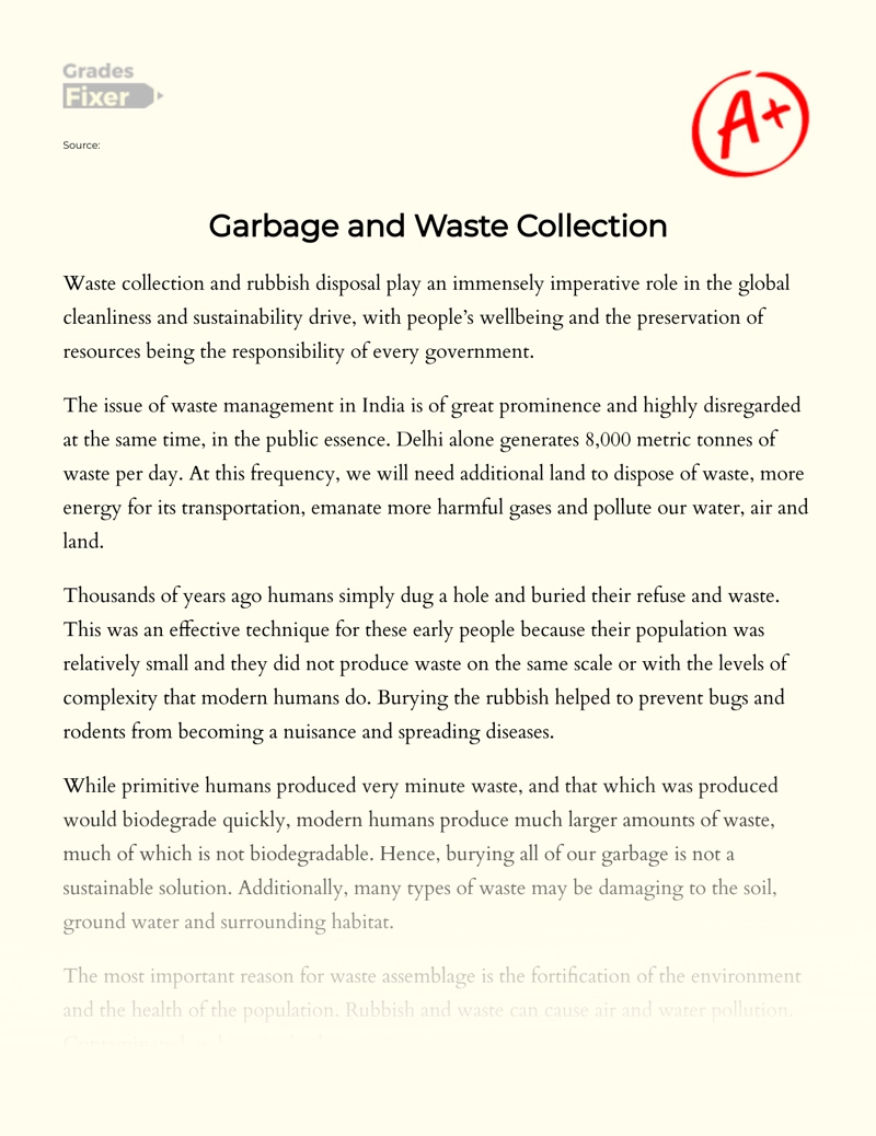The Issue of Garbage and Waste Collection in India Essay