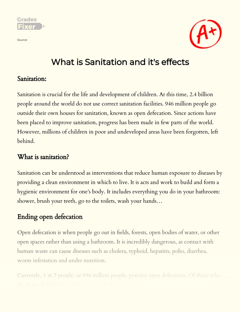 What is Sanitation and Its Effects essay