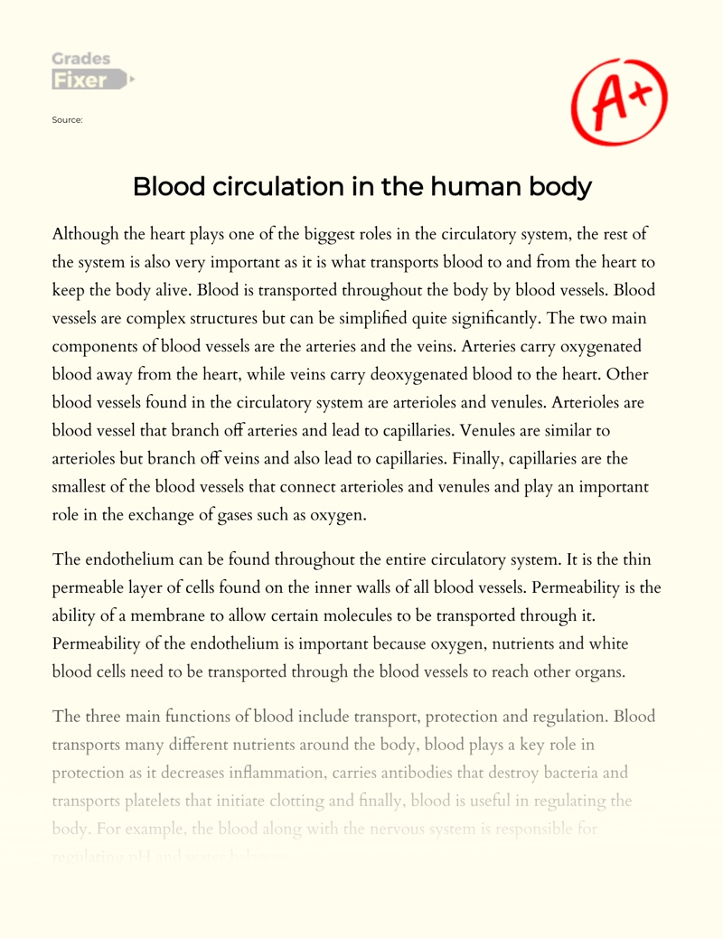 Blood Circulation in The Human Body Essay