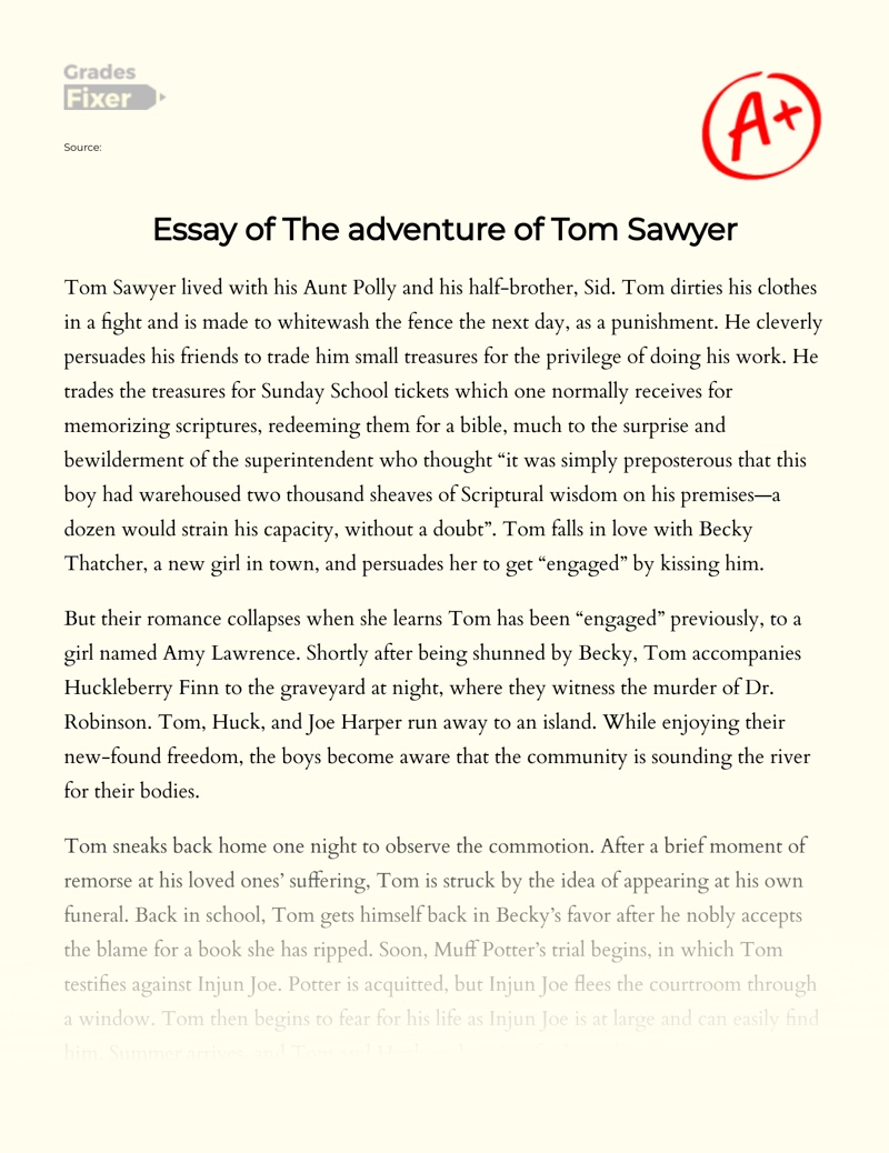 Essay of The Adventure of Tom Sawyer essay