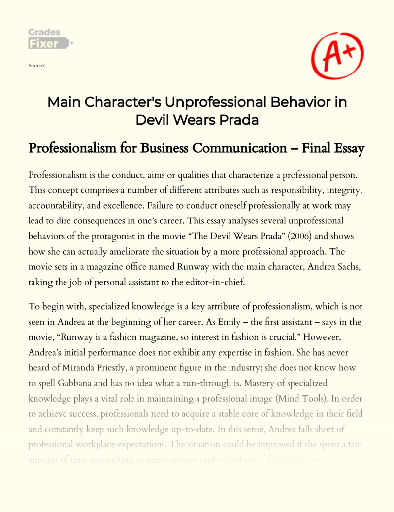 Main Character's Unprofessional Behavior in Devil Wears Prada Essay