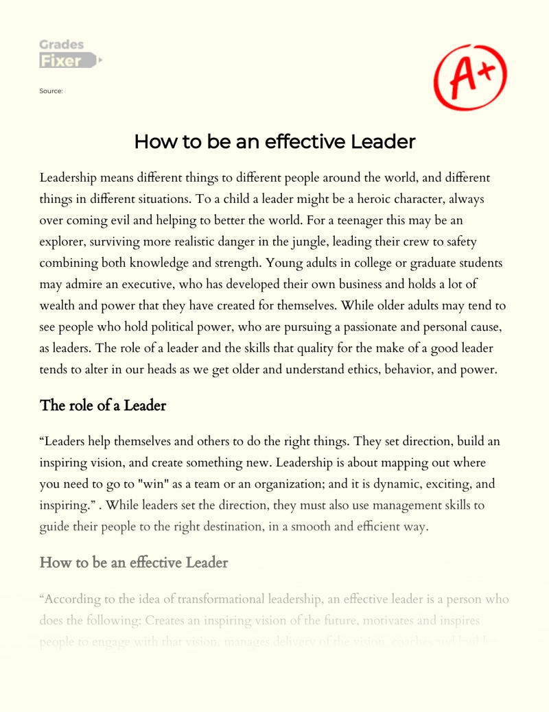 leadership in community essay