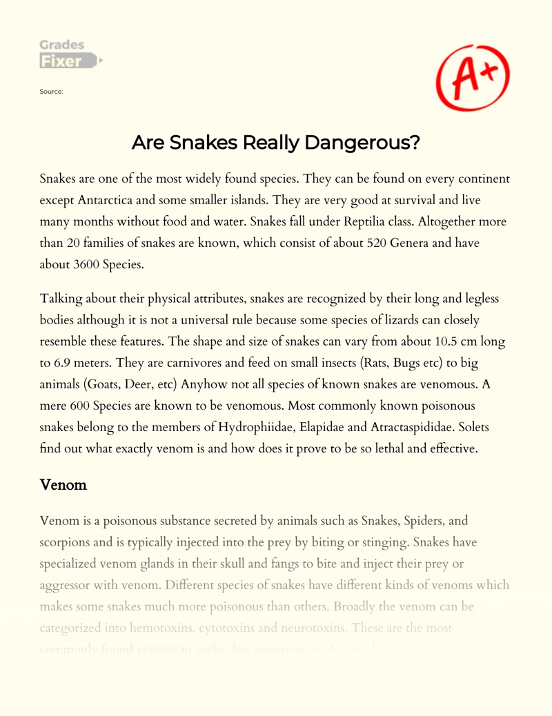 Are Snakes Really Dangerous Essay