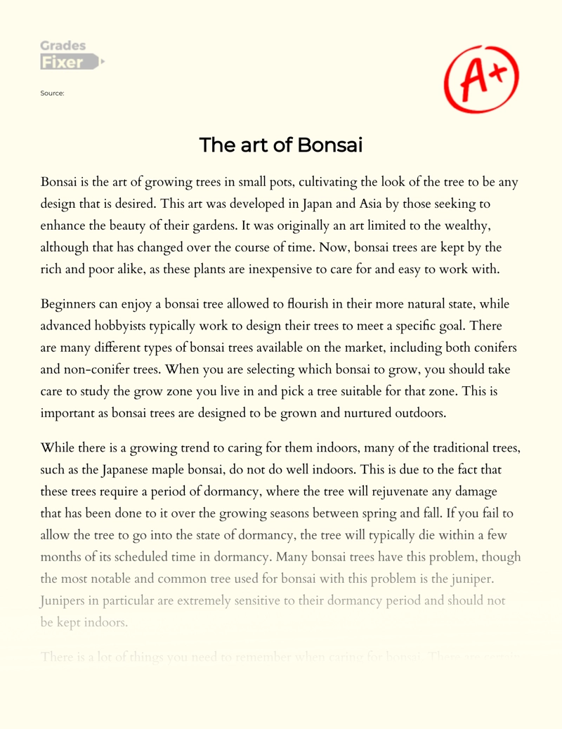 The Art of Bonsai essay