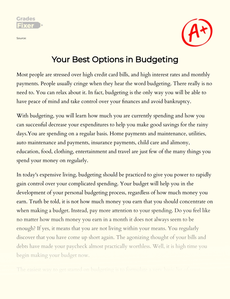 Your Best Options in Budgeting Essay