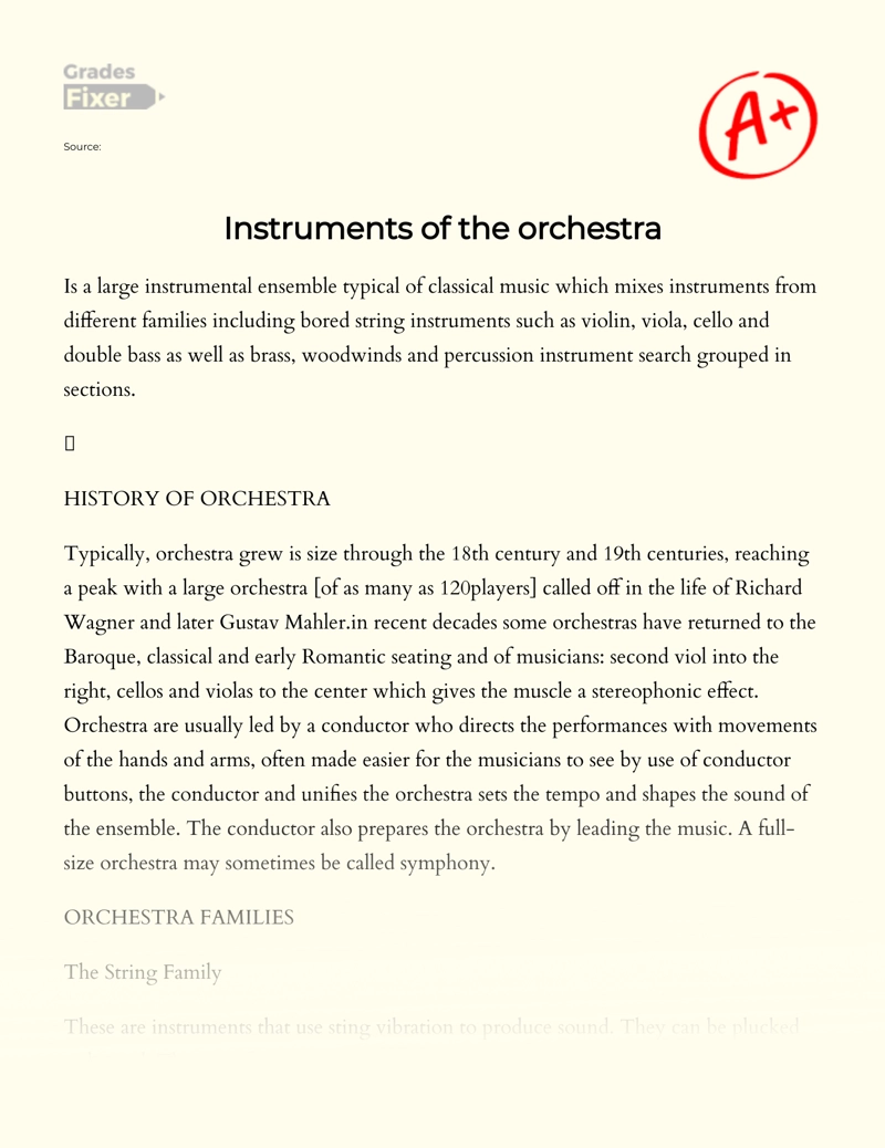 Instruments of The Orchestra Essay