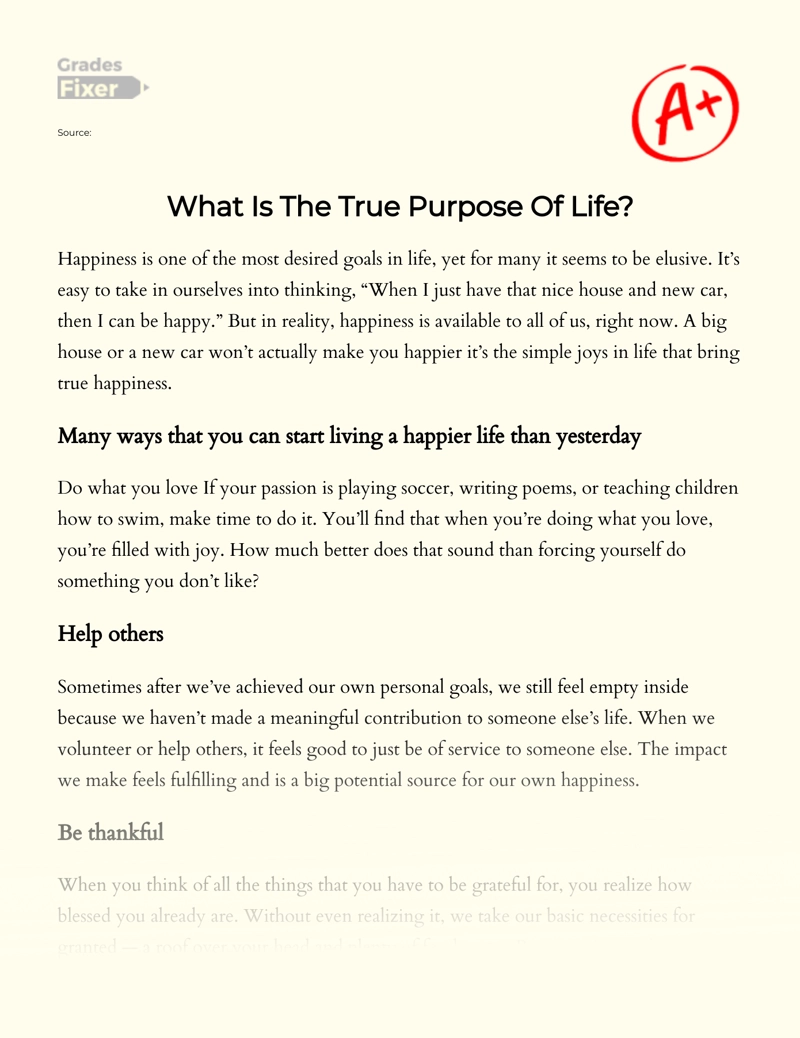 Finding The True Purpose of Life essay