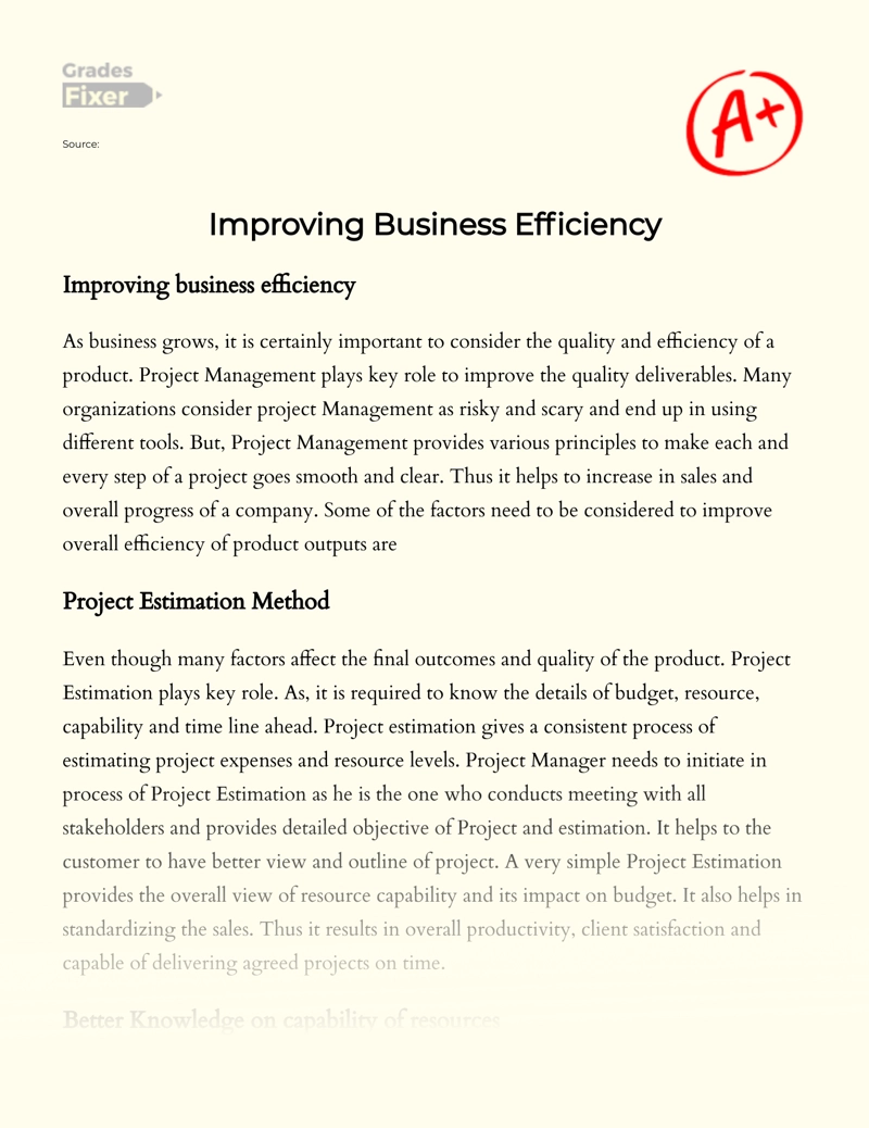Improving Business Efficiency Essay