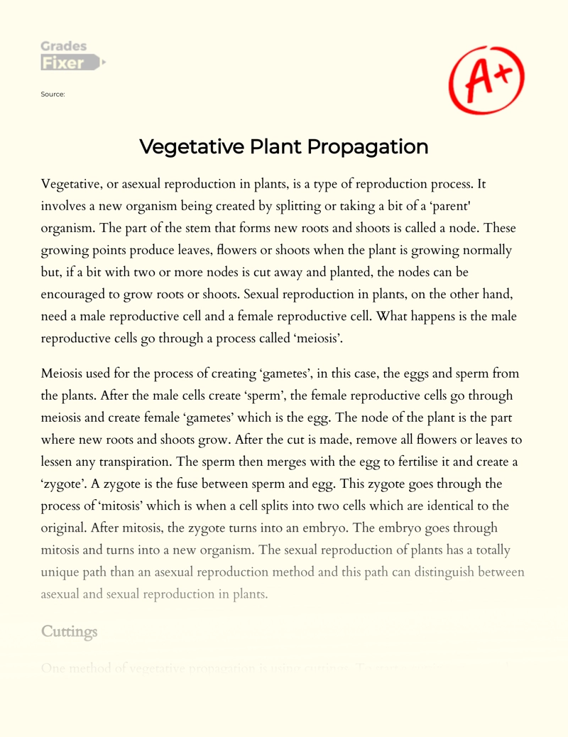 Vegetative Plant Propagation Essay