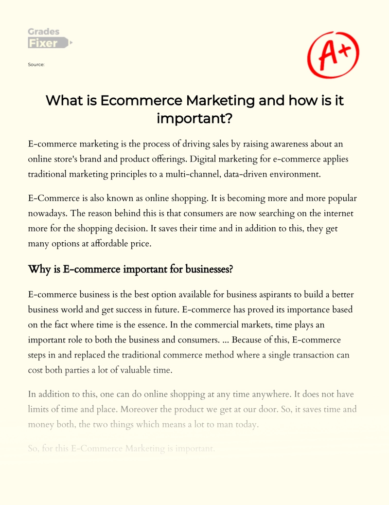 Ecommerce Marketing and Its Importance Essay