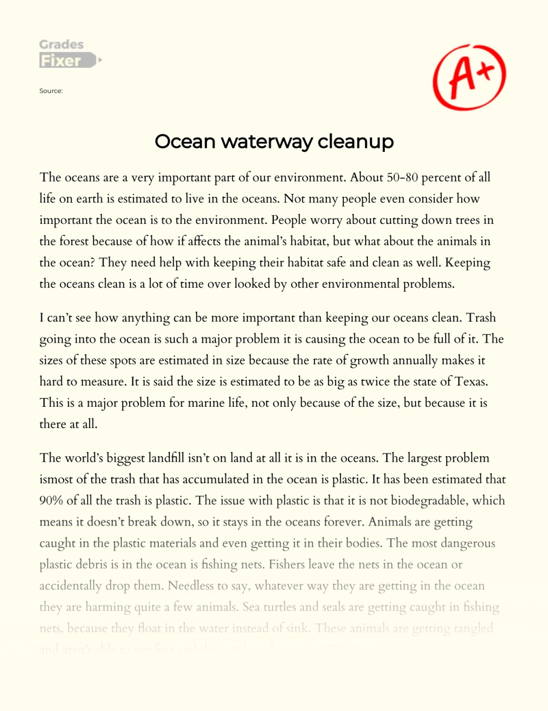 Ocean Waterway Cleanup is Essential essay