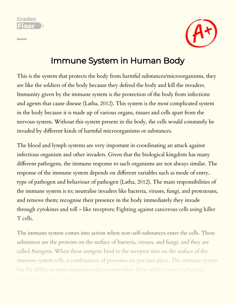 Immune System in Human Body Essay