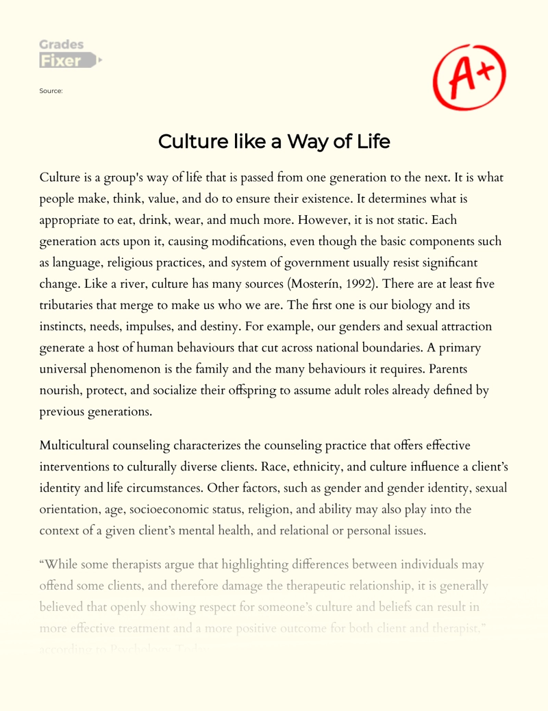 Culture Like a Way of Life Essay