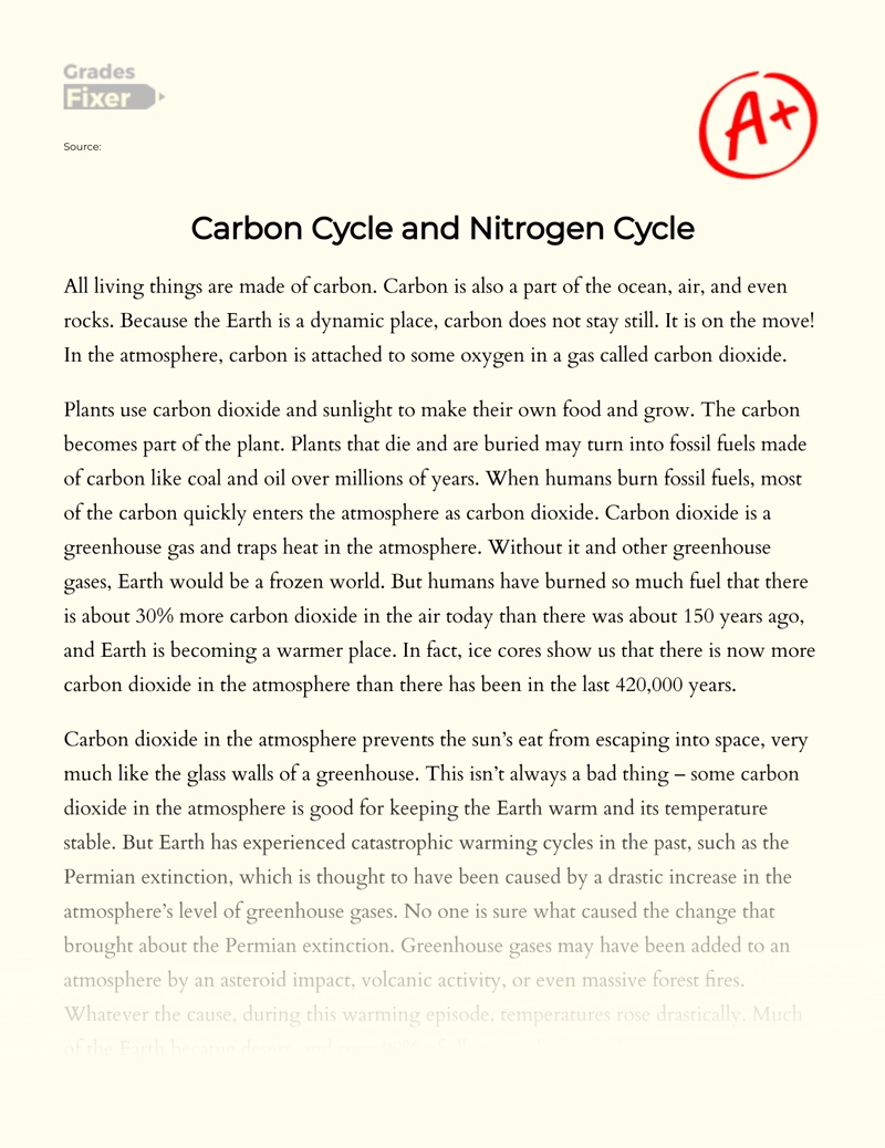 Carbon Cycle and Nitrogen Cycle Essay