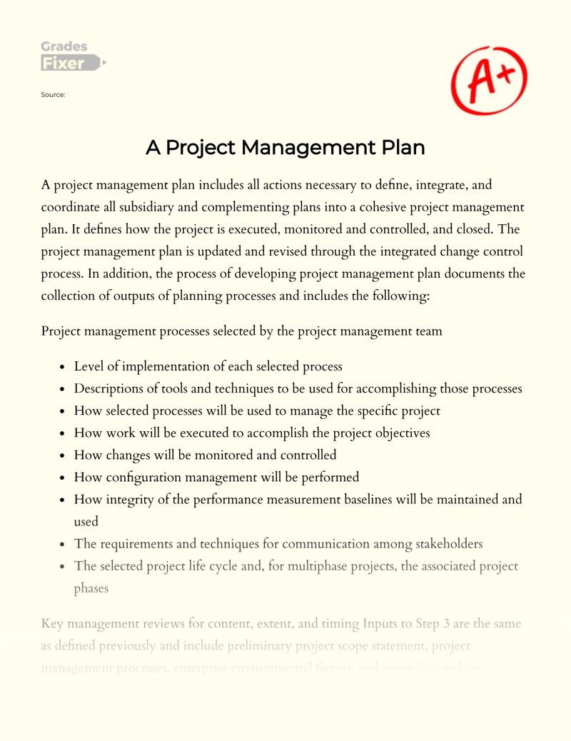 A Project Management Plan Essay