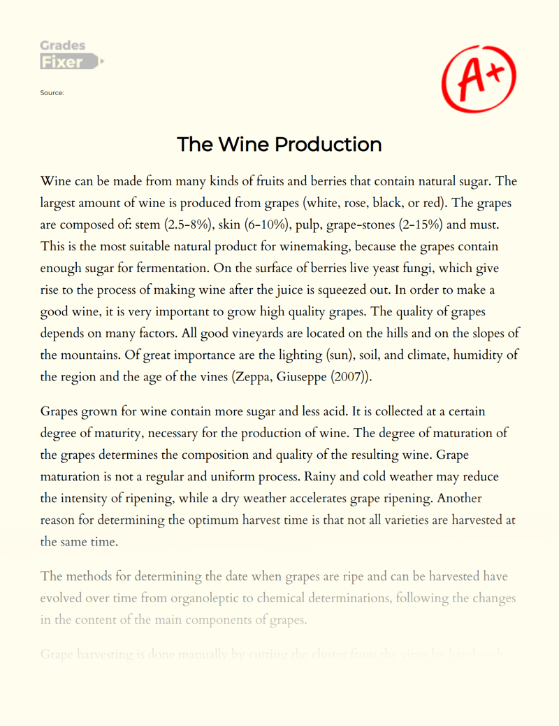 The Wine Production Essay