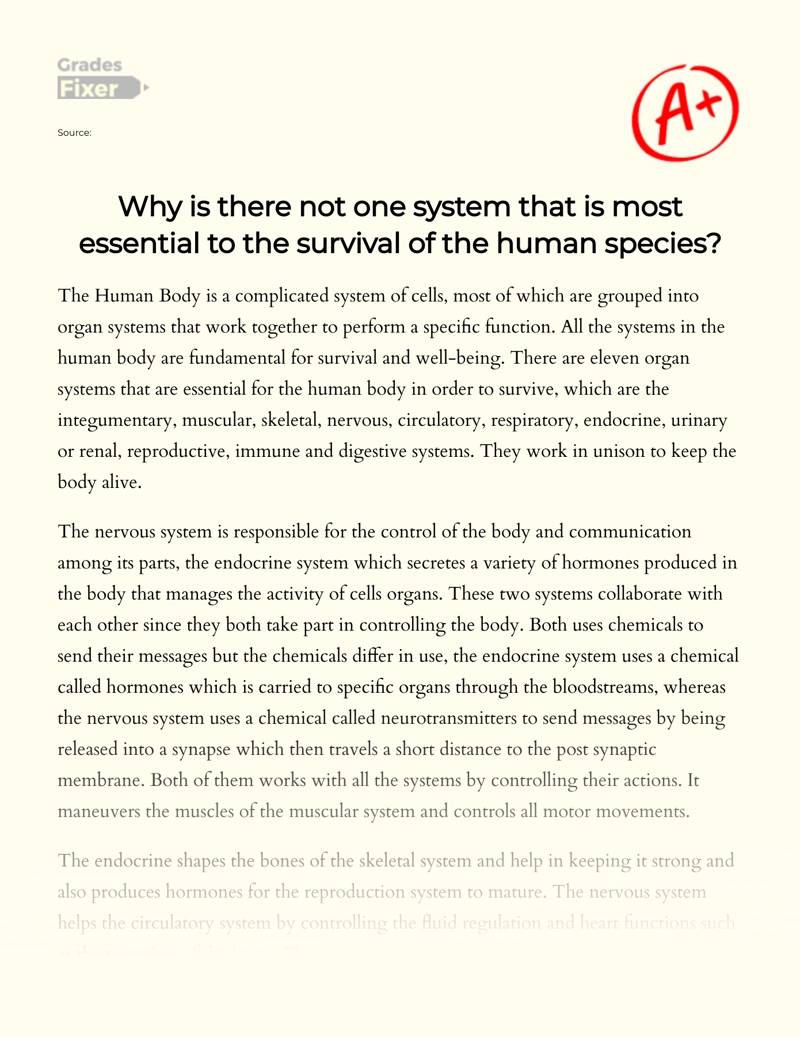 Research of Why There is not One System that is Most Essential to The Survival of The Human Species essay